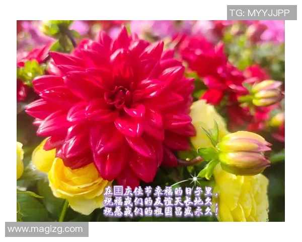 国外足球明星送上新年祝福共庆佳节传递温暖与希望